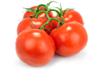Tomatoes 